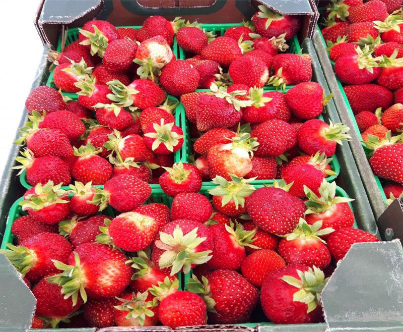 https://www.shopleisurefarms.ca/img/products/strawberries-flat.jpg